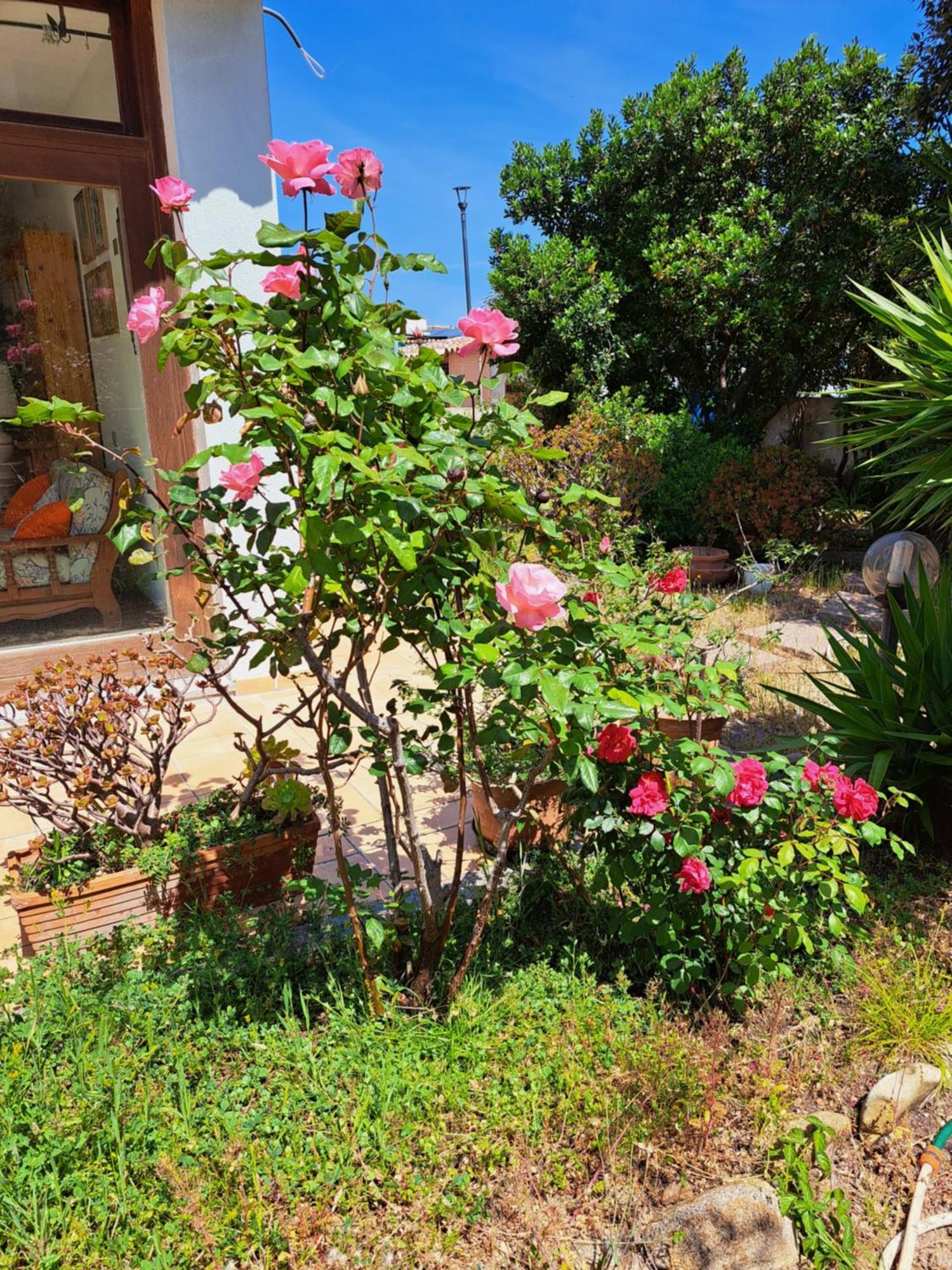Casa Di Paolo E Roberta Bed & Breakfast Santa Teresa Gallura Exterior photo