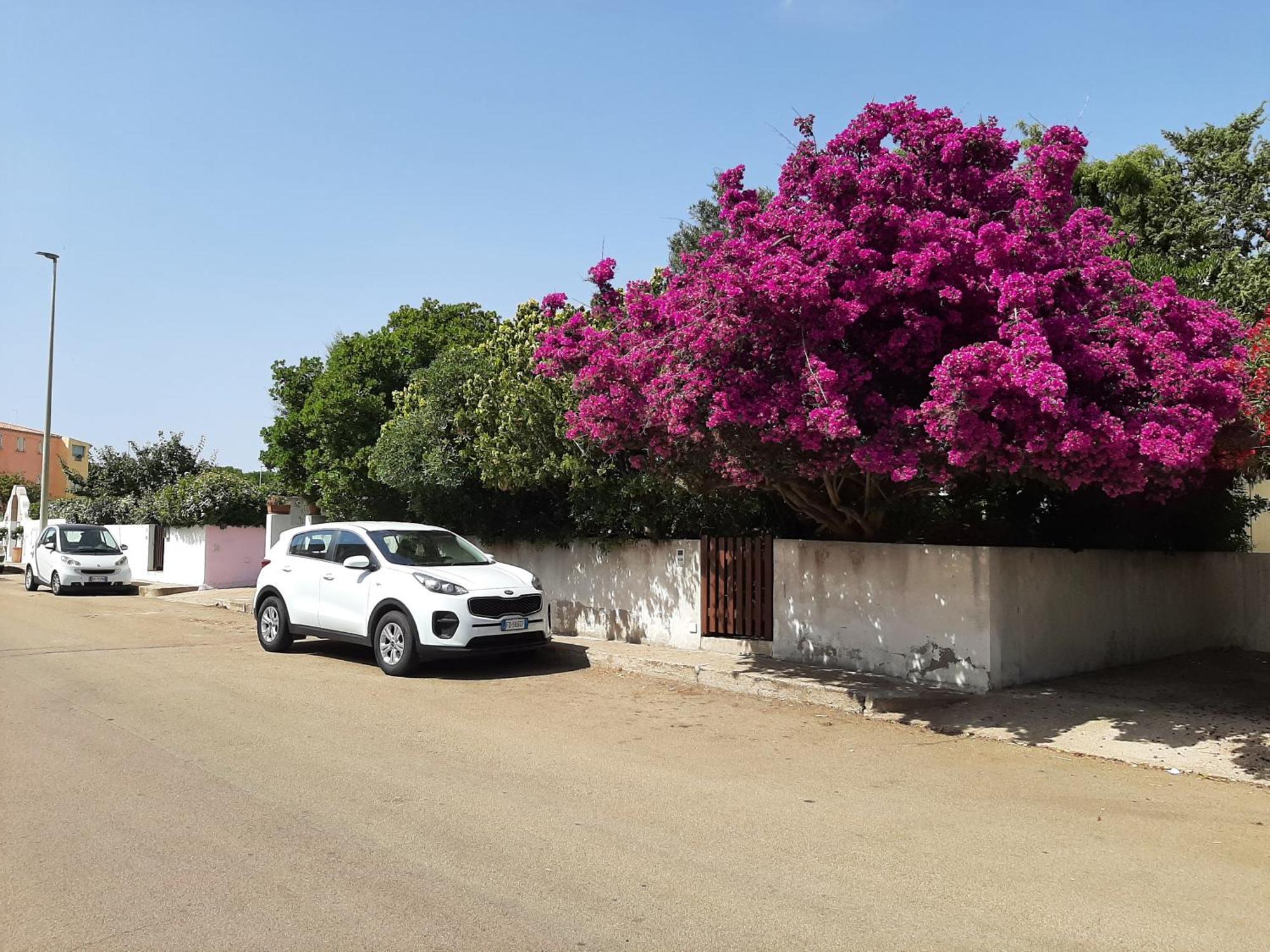 Casa Di Paolo E Roberta Bed & Breakfast Santa Teresa Gallura Exterior photo